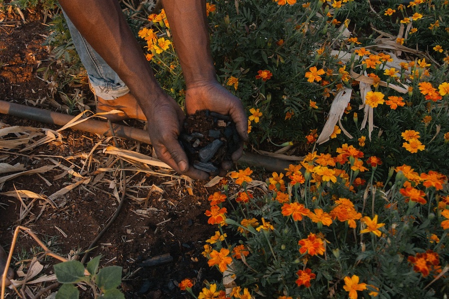 Farmer holds biochar produced using crop waste © 2025 Planboo.