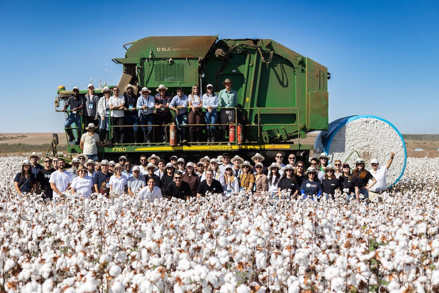 © 2026 Cotton Brazil