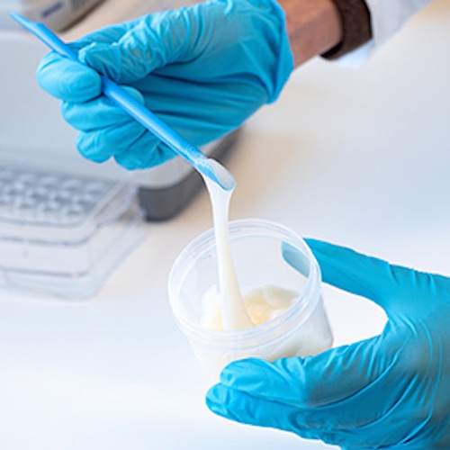 Thanks to the auxiliary molecules in their extracellular matrix, the mycelial fibers are good natural emulsifiers – they are even safe to eat. © 2025 Image: Empa