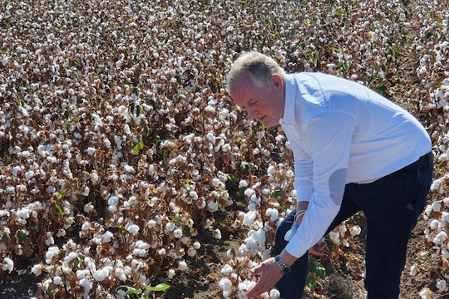 Gebr. Otto attaches great importance to a transparent and responsible supply chain. Gebr. Otto sources cotton fibres from Andalusia for its ‘Cotton since 1901’ brand. Picture: © 2025 Gebr. Otto
