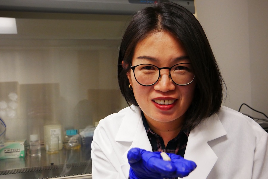 The project was led by Dr. Xiaoli Zhang, the Company’s research manager, whose team continues to push the boundaries of genetic engineering for spider silk production © 2025 Kraig Labs